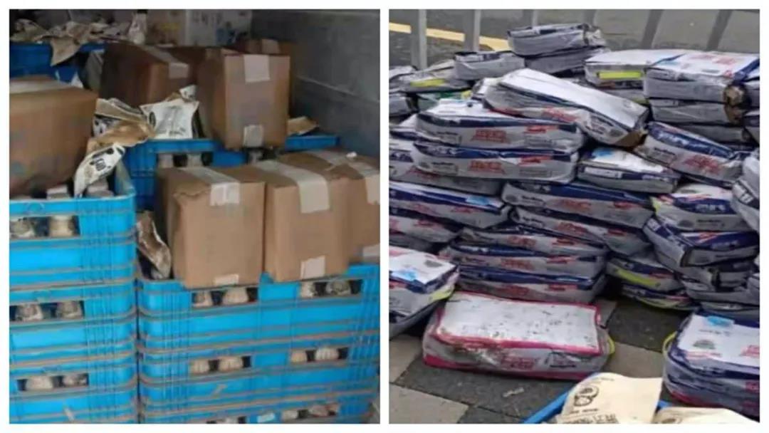 【乳報(bào)·聚焦】“豫”難而上的中原牛人“太中了”！