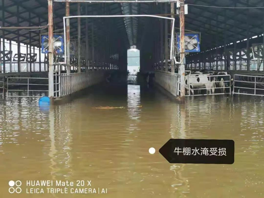 【乳報(bào)·聚焦】“豫”難而上的中原牛人“太中了”！