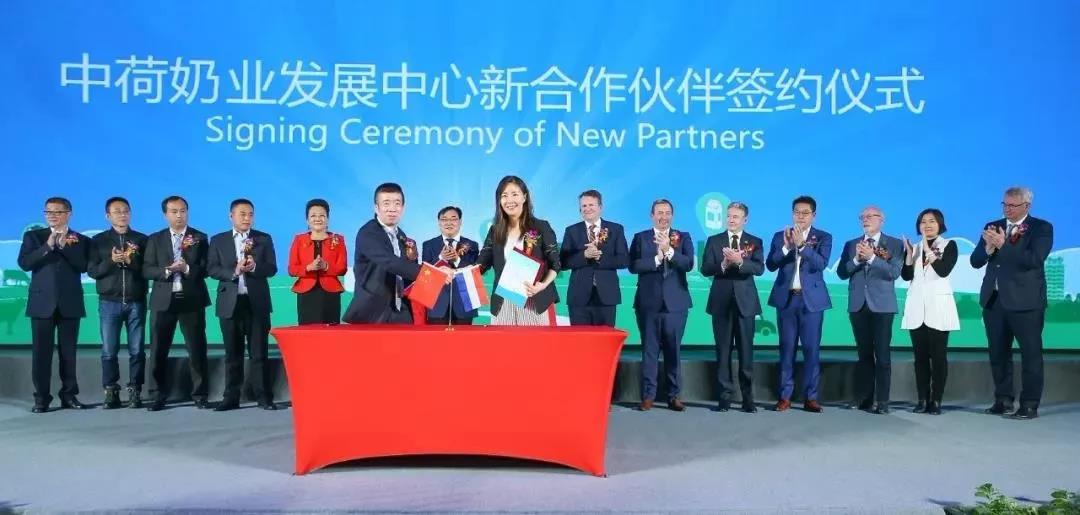 SDDDC走進河南，看看花花牛的國際范兒！