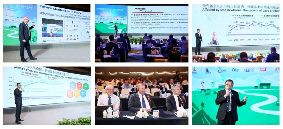 SDDDC走進河南，看看花花牛的國際范兒！