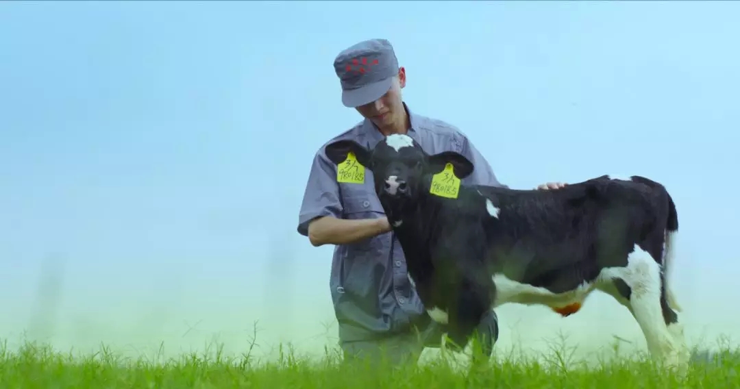 喜報(bào) | 國(guó)家市場(chǎng)監(jiān)管總局抽檢，花花牛等112家企業(yè)乳品抽檢全部合格