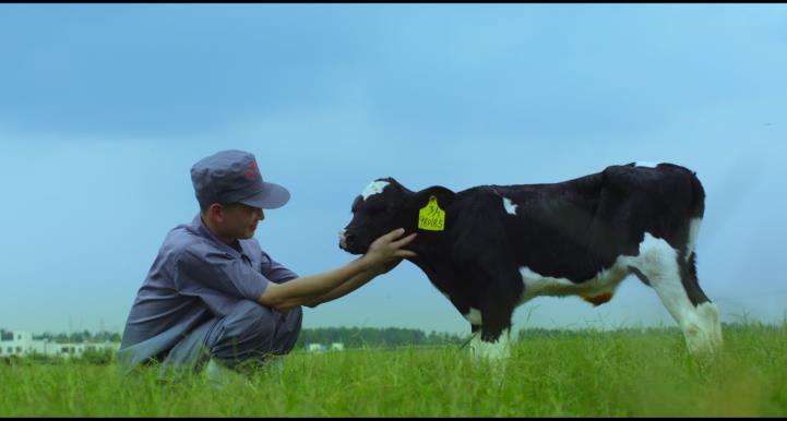 又雙叒叕獲獎啦！花花牛榮獲“乳品質(zhì)量安全管理 優(yōu)秀企業(yè)”