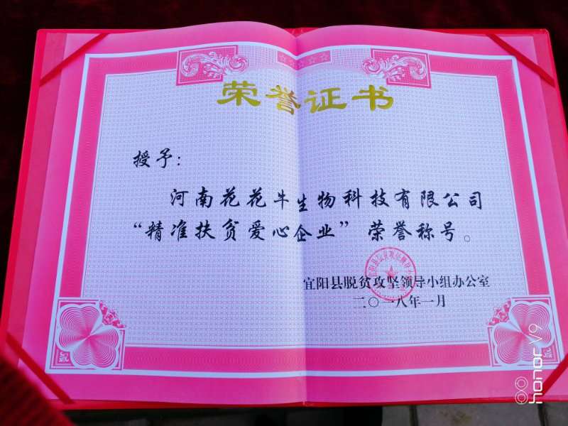 關(guān)愛成長 相伴未來——精準(zhǔn)扶貧“暖冬公益行”走進宜陽縣白楊鎮(zhèn)